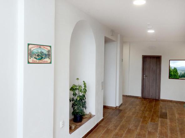 Penzion U Provaznika Zdíkov Kültér fotó
